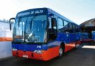 Modificación en el recorrido de la Línea 3 del Servicio Urbano de Transporte