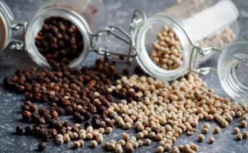 Cómo la pimienta negra y el aceite de oliva potencian los nutrientes de los alimentos que comemos