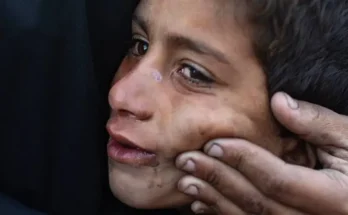 «Un cese el fuego que sigue enterrando niños»: los más de 500 palestinos que han muerto en Gaza por ataques de Israel desde la tregua