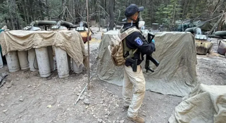 Las preguntas abiertas sobre el papel de EE.UU. en la lucha contra el narco en México tras la muerte de dos agentes de la CIA