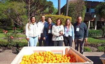 MIDES Salto participó en reunión de coordinación para la promoción social de trabajadores del citrus