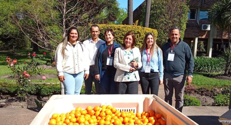 MIDES Salto participó en reunión de coordinación para la promoción social de trabajadores del citrus