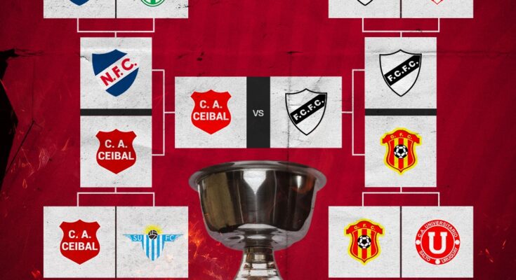 Ferro Carril y Ceibal jugarán la final de los Play Off de la Divisional Primera A