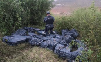 Hallaron e incautaron cigarrillos abandonados en la costa de Salto: están valuados en más de  millones