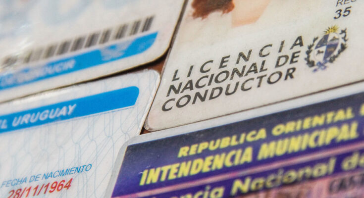 Gobierno decretó creación de la libreta por puntos: cómo se pierden y se recuperan Gobierno decretó creación de la libreta por puntos: cómo se pierden y se recuperan