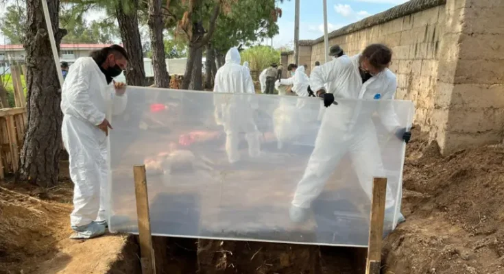 Cómo los cerdos y los insectos están ayudando a encontrar a los desaparecidos en México Cómo los cerdos y los insectos están ayudando a encontrar a los desaparecidos en México