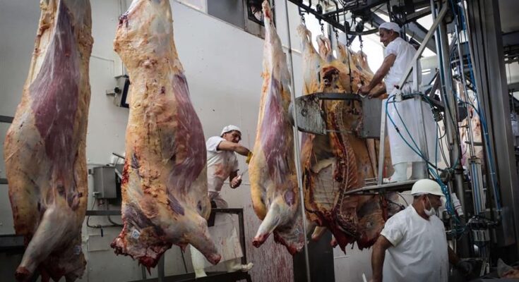 Accionistas de Marfrig y BRF aprueban fusión que crea gigante cárnico; resta aval oficial