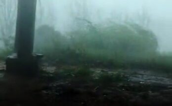 Meteorólogo advierte por viento y vendavales por dos días seguidos en cuatro departamentos