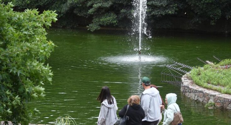 Exdirector del Parque Villa Dolores sancionado luego de que niños terminaran intoxicados
