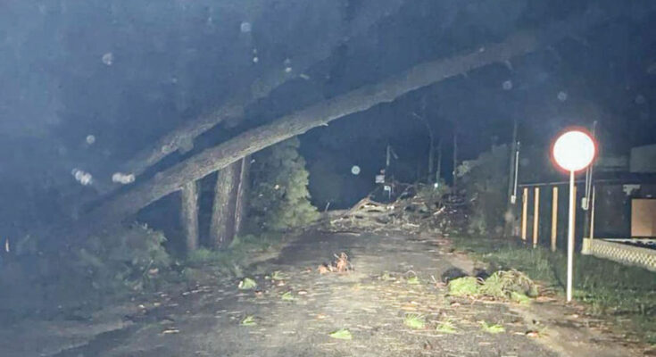 Meteorólogo advierte a 5 departamentos por “fuerte” temporal de Santa Rosa Meteorólogo advierte a 5 departamentos por “fuerte” temporal de Santa Rosa