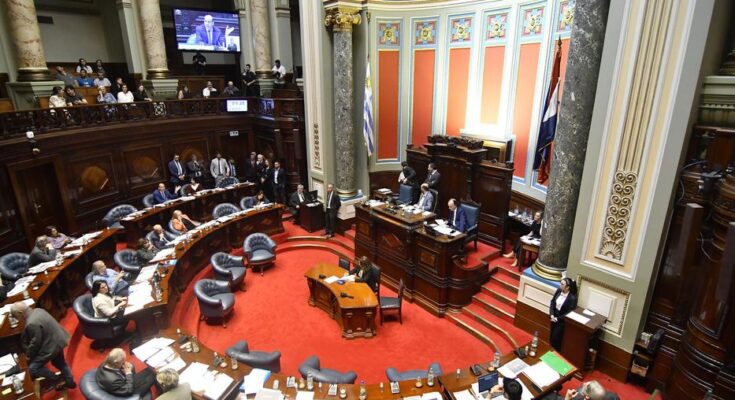 Día histórico: la eutanasia fue aprobada en Uruguay, tras votación en el Senado Día histórico: la eutanasia fue aprobada en Uruguay, tras votación en el Senado