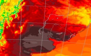 Meteorólogo dice que “va a estar complicado” y anuncia más de 50 °C