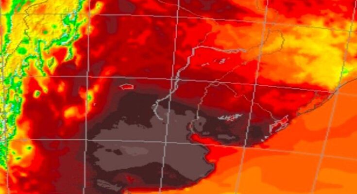 Meteorólogo dice que “va a estar complicado” y anuncia más de 50 °C