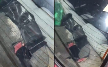 El parlante de un auto se derritió por los 41 °C de sensación térmica en Salto