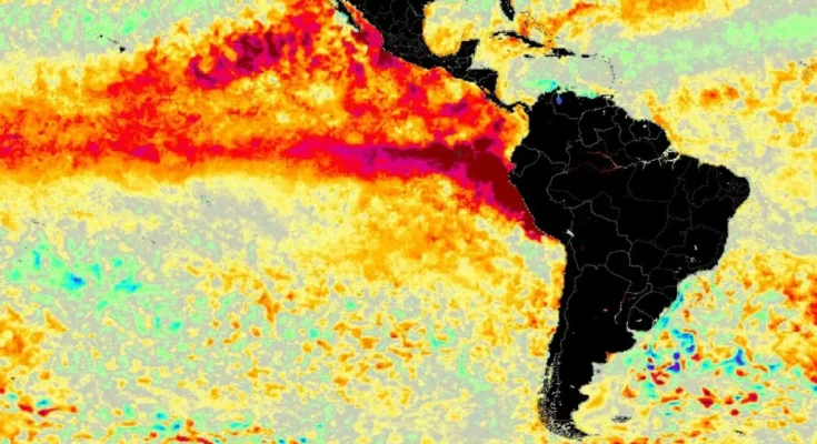 El Niño ya llegó a Uruguay y podría ser “de los más intensos de la historia”, según Metsul El Niño ya llegó a Uruguay y podría ser “de los más intensos de la historia”, según Metsul