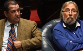 “Ves una vaca y te asustás”: Da Silva cruzó a González por cuota de carne cedida a Brasil