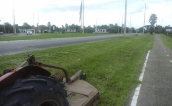 El Gobierno de Salto asumió de forma transitoria el corte de pasto del acceso a la ciudad, en coordinación con el MTOP