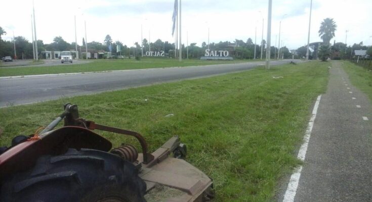 El Gobierno de Salto asumió de forma transitoria el corte de pasto del acceso a la ciudad, en coordinación con el MTOP El Gobierno de Salto asumió de forma transitoria el corte de pasto del acceso a la ciudad, en coordinación con el MTOP