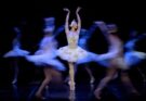 El Ballet Nacional del Sodre presentará “El lago de los cisnes” en el Teatro Larrañaga