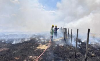 CECOED informó sobre incendio que afectó más de 30 hectáreas en la zona norte de la ciudad