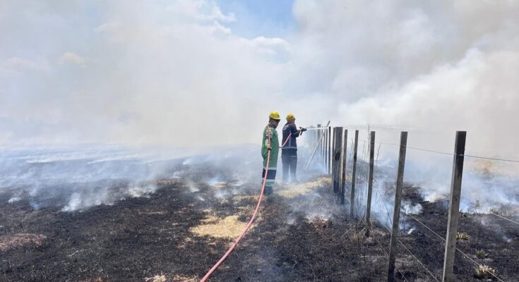 CECOED informó sobre incendio que afectó más de 30 hectáreas en la zona norte de la ciudad CECOED informó sobre incendio que afectó más de 30 hectáreas en la zona norte de la ciudad