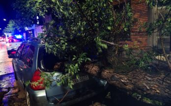 CECOED mantiene operativo especial desde el sábado por las inclemencias climáticas