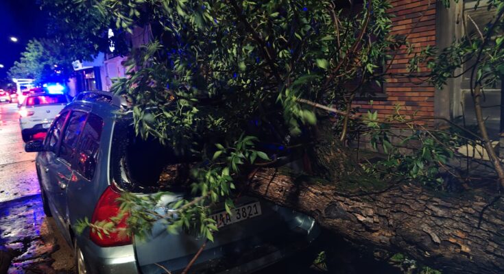 CECOED mantiene operativo especial desde el sábado por las inclemencias climáticas