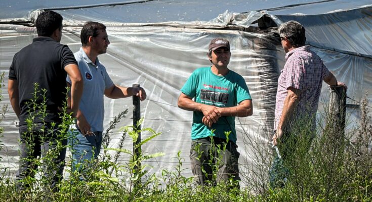Autoridades recorrieron Pueblo Belén tras temporal y evalúan respuestas para familias y productores Autoridades recorrieron Pueblo Belén tras temporal y evalúan respuestas para familias y productores
