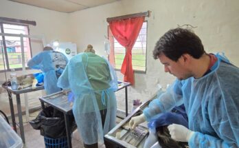 El Gobierno de Salto e INBA iniciaron campaña de castraciones gratuitas en el interior