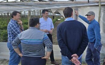 Salto y Concordia profundizan una agenda común de desarrollo productivo