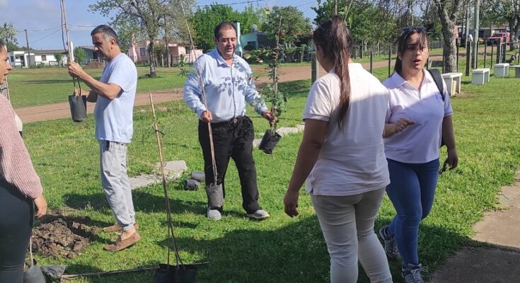 Plantación de árboles autóctonos en Puntas de Valentín