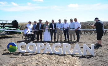 Presidente Orsi inauguró cosecha de girasol en Río Negro