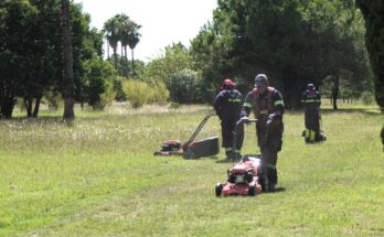 Espacios Verdes incorporó nueva maquinaria para reforzar el mantenimiento de la ciudad