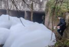 Se realizan análisis para determinar el origen de la espuma detectada en el arroyo Ceibal