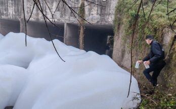Se realizan análisis para determinar el origen de la espuma detectada en el arroyo Ceibal