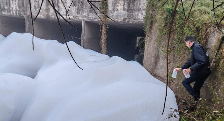 Se realizan análisis para determinar el origen de la espuma detectada en el arroyo Ceibal