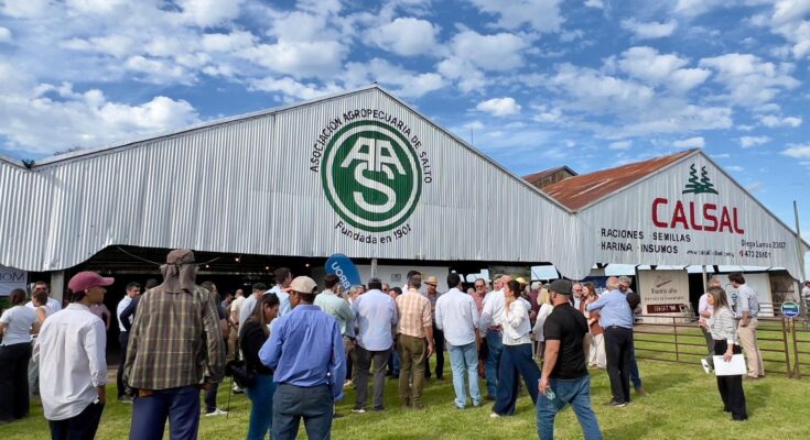 Ómnibus: servicios especiales para la 117ª edición de la Expo Salto Ómnibus: servicios especiales para la 117ª edición de la Expo Salto