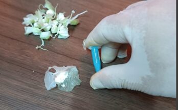 Vendedor de droga condenado a 2 años y un mes de penitenciaría