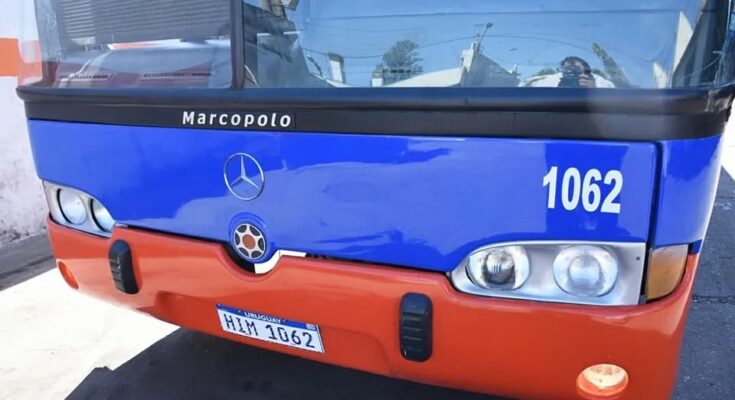 División Ómnibus informa horarios del servicio de transporte urbano de pasajeros