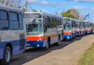 El Gobierno de Salto inició la renovación de la flota de ómnibus para el transporte urbano