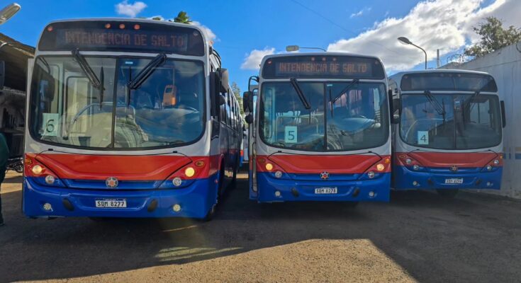 La Intendencia de Salto informa sobre horarios especiales por el feriado del 18 de Julio La Intendencia de Salto informa sobre horarios especiales por el feriado del 18 de Julio