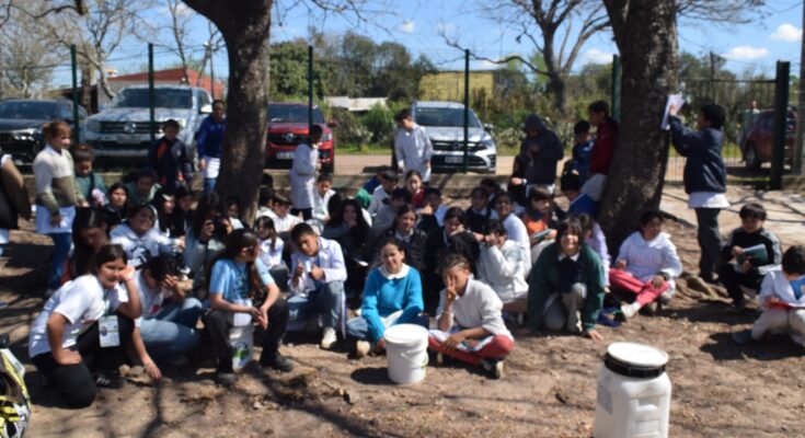 La Escuela N.º 131 representará a Salto en la Feria Nacional de Clubes de Ciencia con su proyecto “Ladrillos Verdes” La Escuela N.º 131 representará a Salto en la Feria Nacional de Clubes de Ciencia con su proyecto “Ladrillos Verdes”