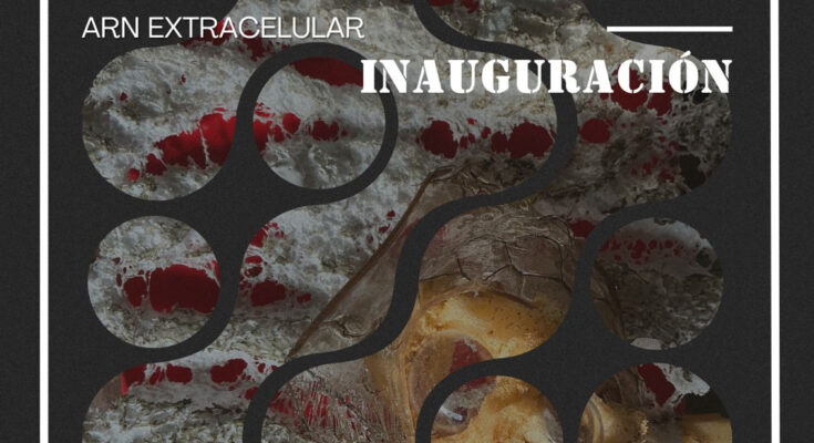 Instalación artística científica “ARN for export” en sede Salto Udelar Instalación artística científica “ARN for export” en sede Salto Udelar