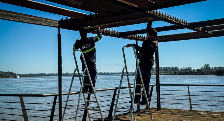 Gobierno de Salto trabaja en la recuperación del Muelle Negro tras años de abandono Gobierno de Salto trabaja en la recuperación del Muelle Negro tras años de abandono