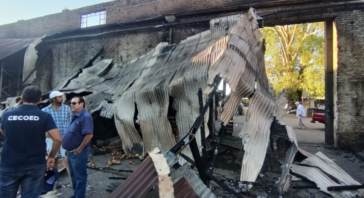 El Gobierno de Salto espera informes técnicos para colaborar en retirar los restos del techo y productos que quedaron a raíz del incendio del Mercado Regional