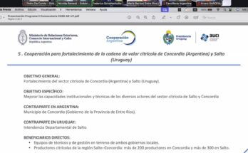 Salto presentó ante AUCI y Cooperación Argentina proyecto binacional seleccionado junto a Entre Ríos