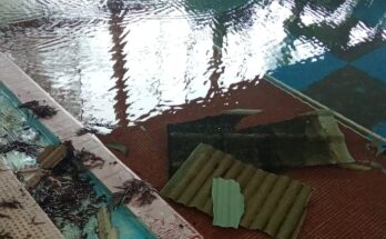 Cierre preventivo de la piscina cerrada en Termas del Arapey por problemas de infraestructura