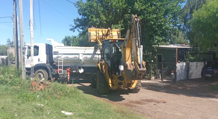 Recolección de restos de poda y chatarra en distintos barrios de Salto Recolección de restos de poda y chatarra en distintos barrios de Salto