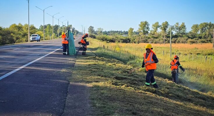 Previo a Turismo: podas y limpieza en Ruta 3