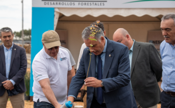 Presidente Orsi valoró el aporte de la industria forestal en el empleo y el desarrollo nacional
